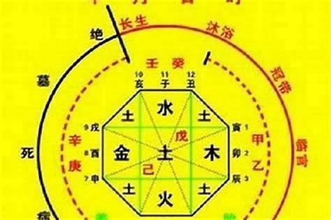 八字 丁火|十天干與十二地支喜忌——丁火篇